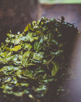 100% Organic Kamikatsu Awabancha (tea bag type)