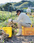 【しょうがシロップ】自社農園のしょうが&稀少な喜界島の粗糖使用 防腐剤不使用