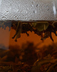【イラム紅茶ミストバレー茶園】ダージリン隣接地産 ネパール紅茶 洋酒に似たアロマ風味