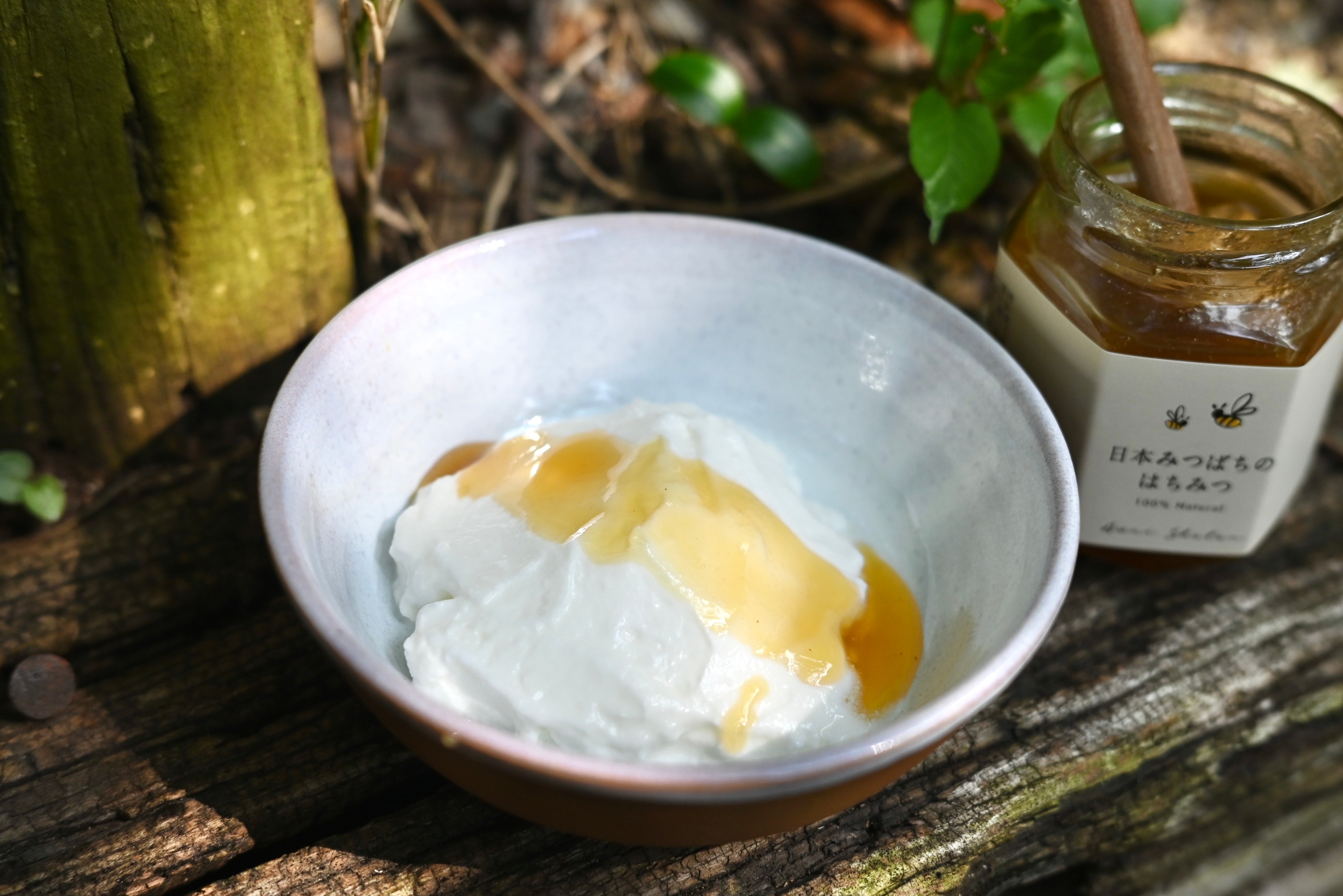 日本みつばちのはちみつ – あわい商店