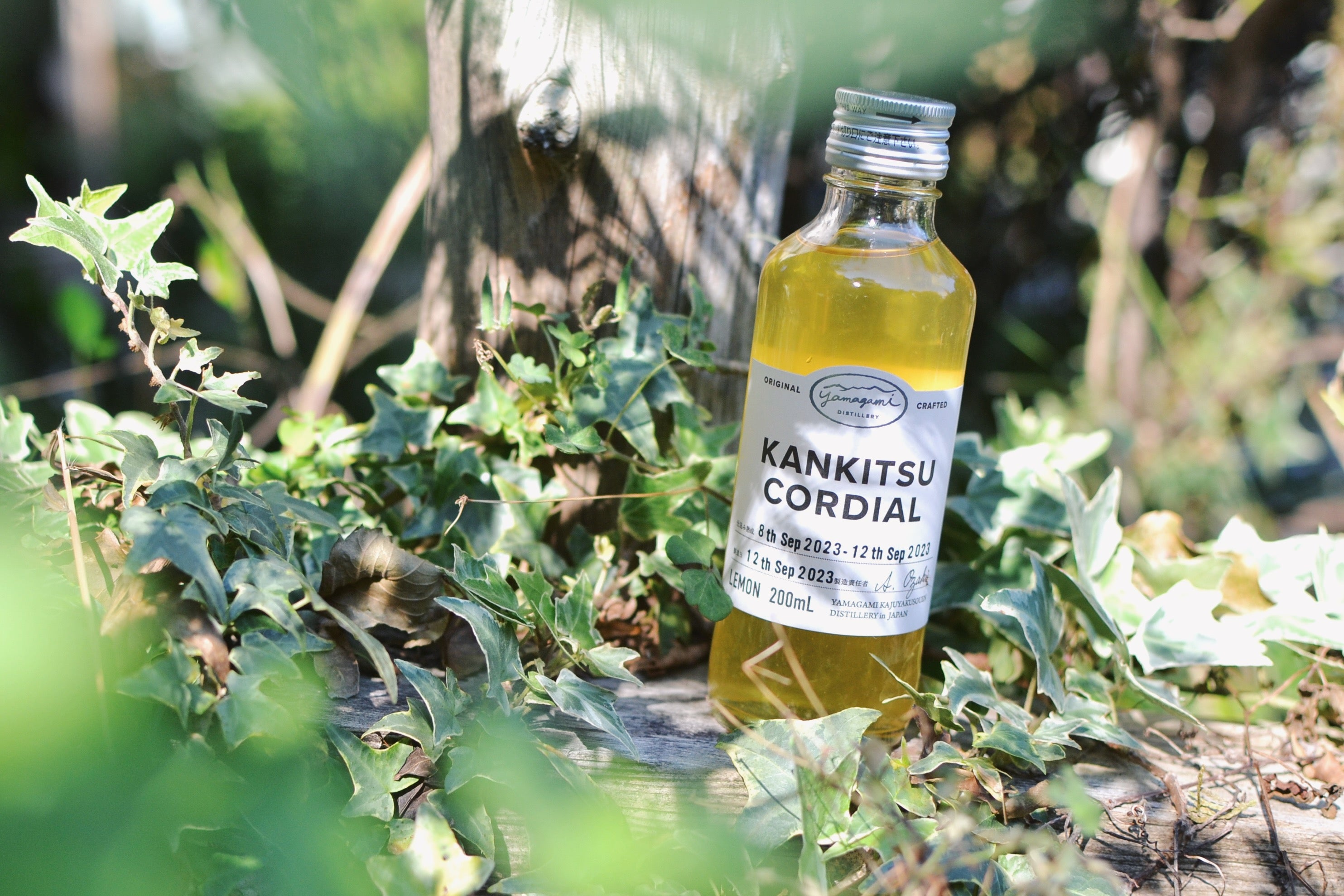 柑橘コーディアル 檸檬 200ml      山神果樹薬草園