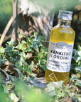 Citrus Cordial Lemon 200ml Yamagami Fruit Herb Garden
