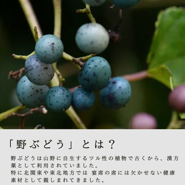 お試し1パック】カラダのキレイをセルフケア（野ぶどう＋乳酸菌 