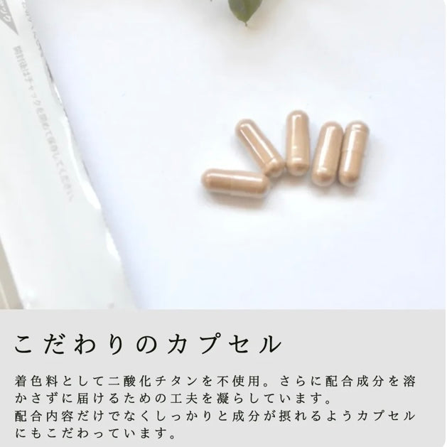 【3パック/90日分】カラダのキレイをセルフケア (野ぶどう+乳酸菌サプリメント30錠)