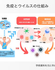 【お試し1パック】カラダのキレイをセルフケア(野ぶどう+乳酸菌サプリメント30錠)