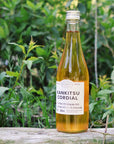 Citrus cordial 500ml Yamagami Kaju Yakusoen