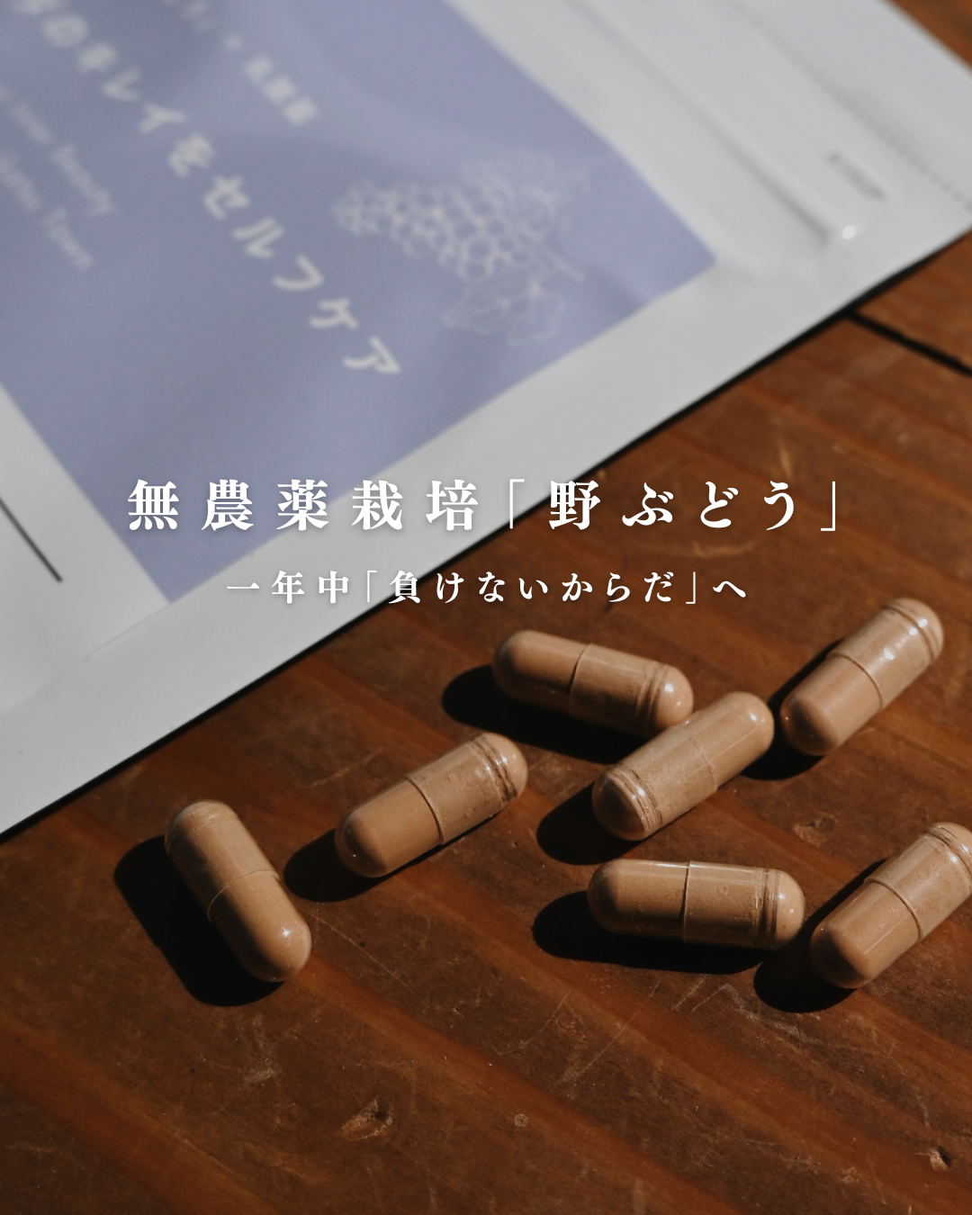 Slideshow Image 2