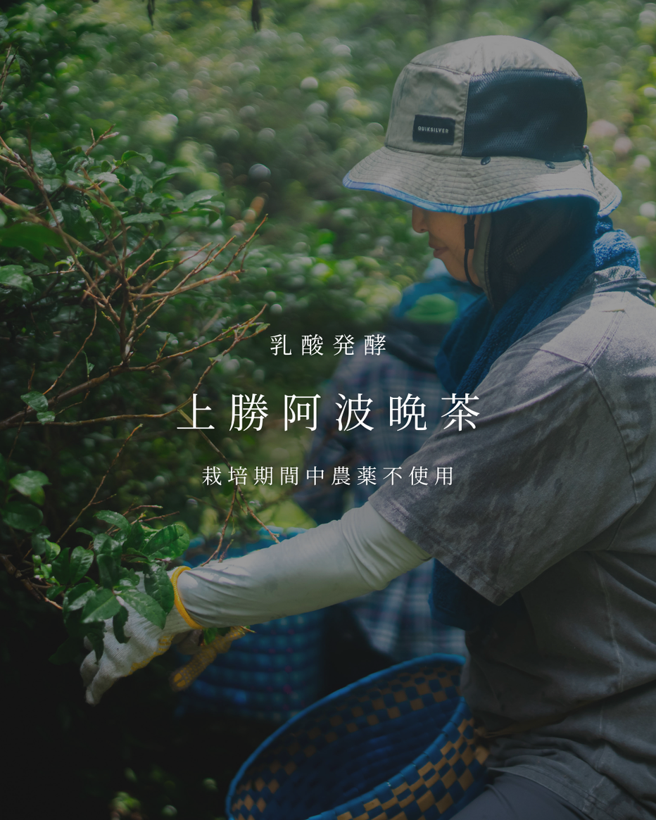 上勝阿波晩茶 ものがたり – あわい商店