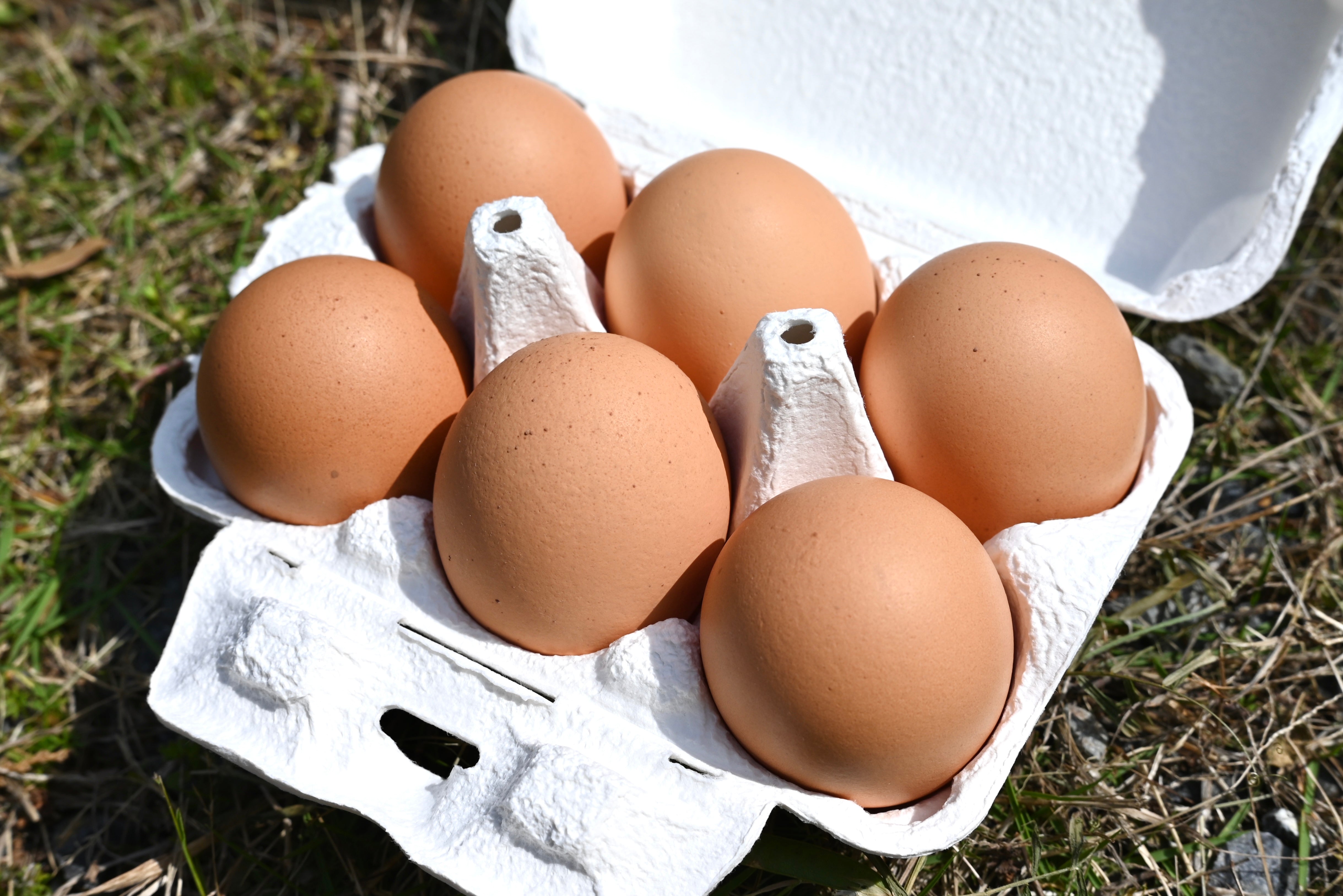 毎日食べたいたむらのタマゴ 選べる3種類