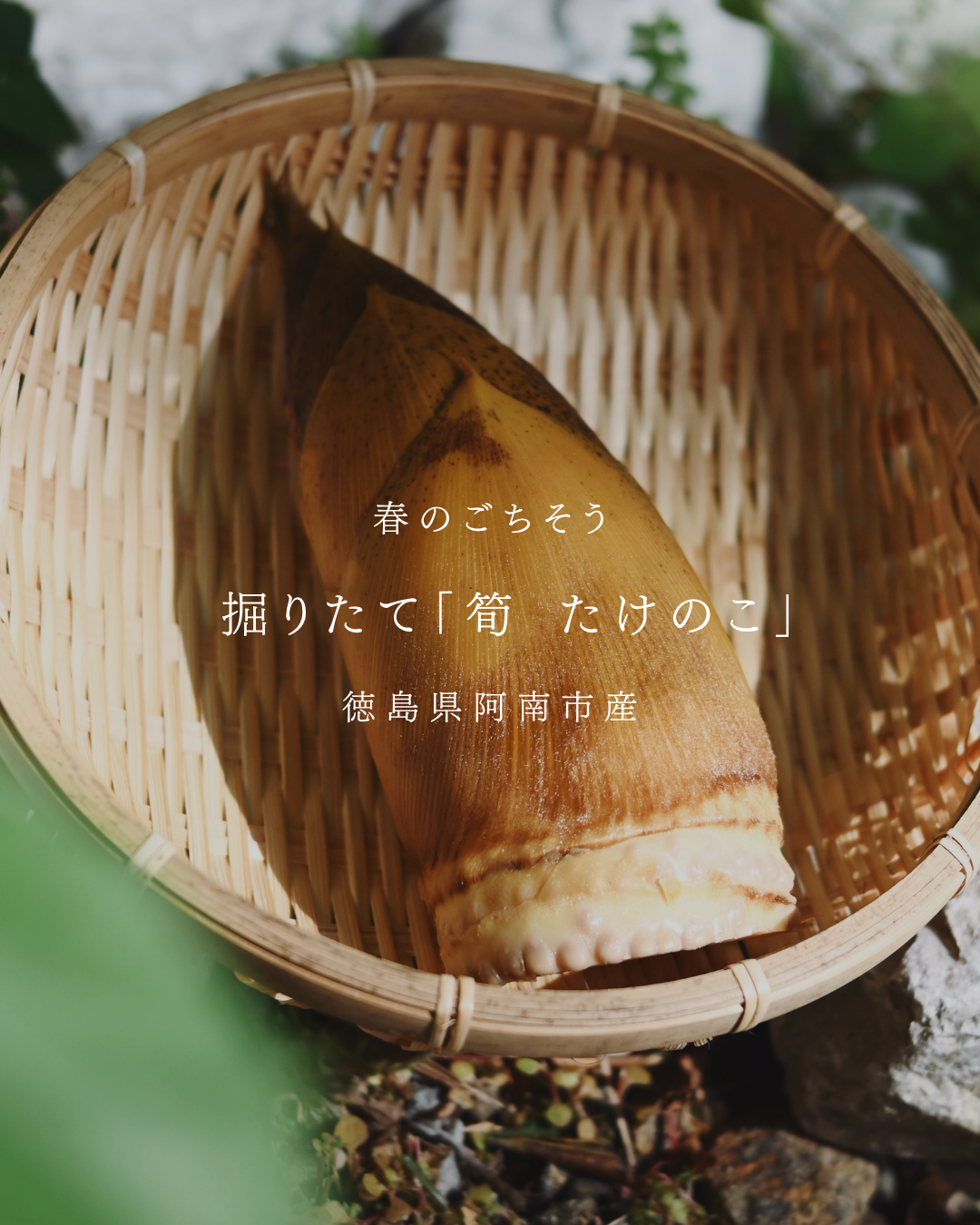 Slideshow Image 1