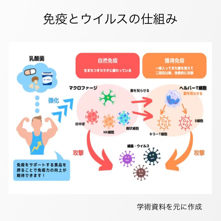 【10パック/お徳用】カラダのキレイをセルフケア （野ぶどう＋乳酸菌サプリメント30錠）