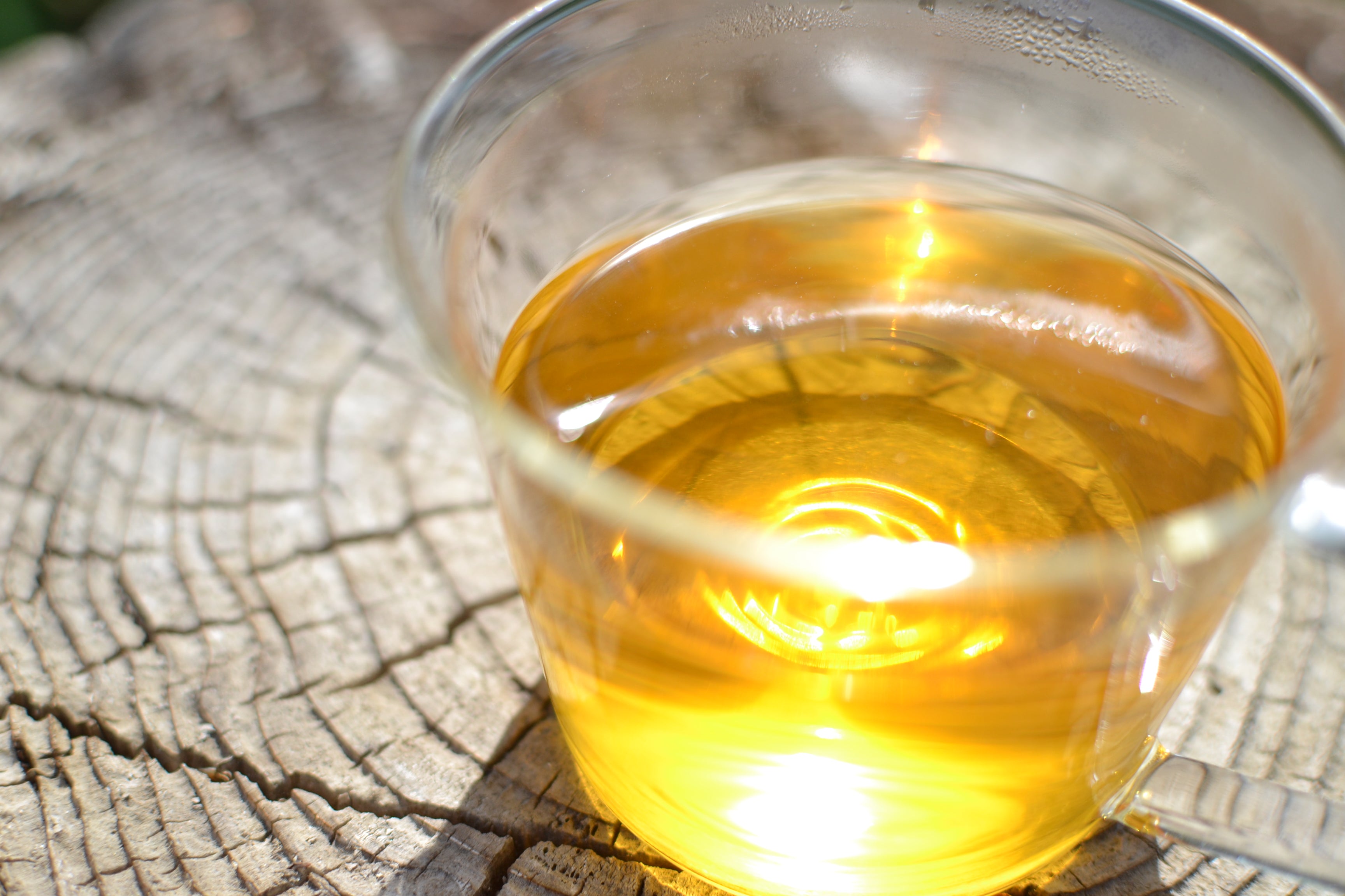 新茶 2025年産】上勝阿波晩茶 無農薬 100g – あわい商店