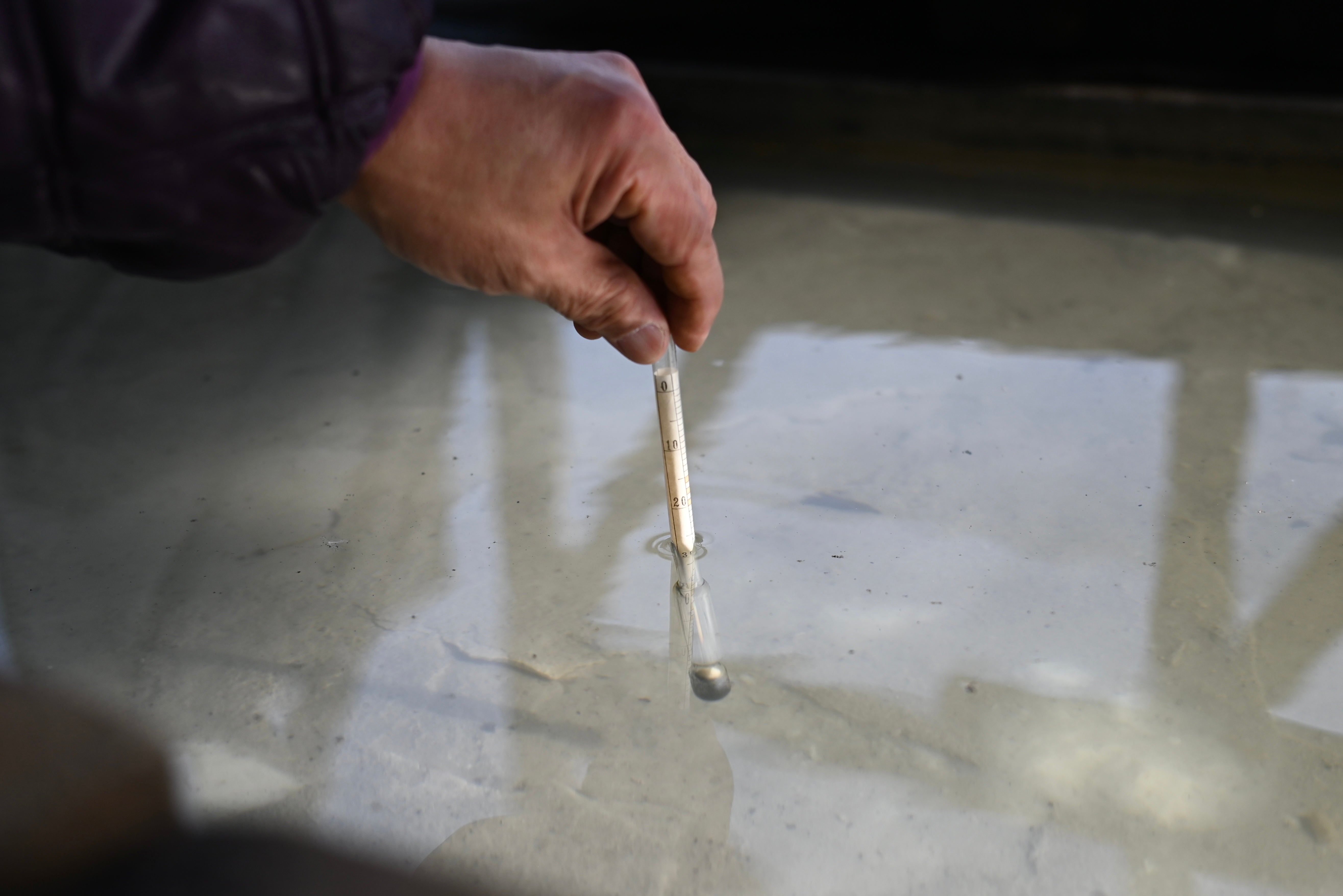 【GLC】若尾和呂 「空の蒼い日」 油彩6号共シール インド政府買上 膜面画法 ◆ヒビなしの逸品! 金部呂（紺色） - (株)箕輪漆行