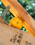 [Yuko Syrup] 100% natural juice from citrus orchards, no preservatives, gentle sweetness of beet sugar