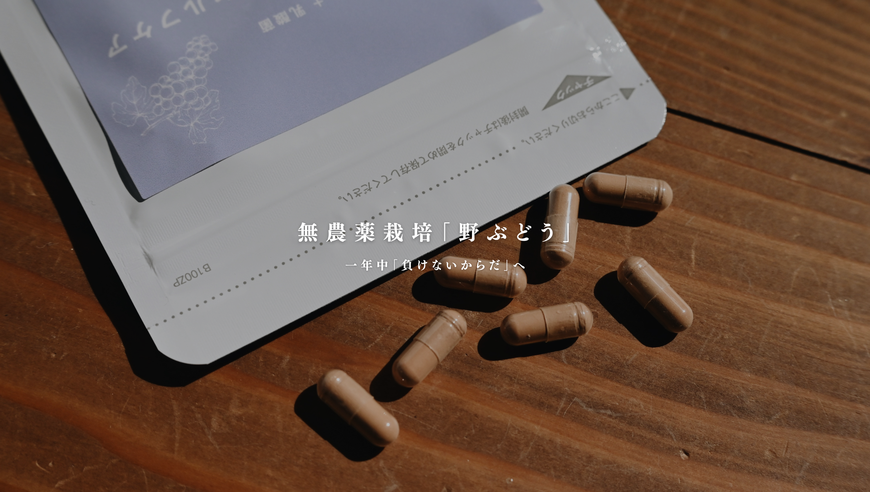 Slideshow Image 2